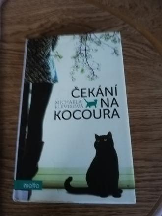 Čekání na kocoura - kniha michaely klevisové., 