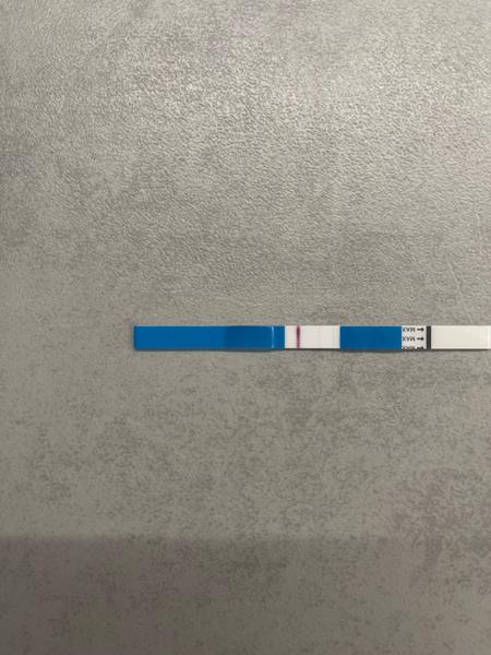 13. DP Ovitrelle - těhotenský test. Zesílí?