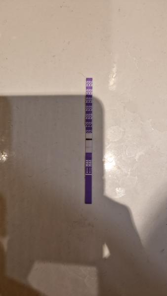 Test. Je výsledek testu pozitivní?