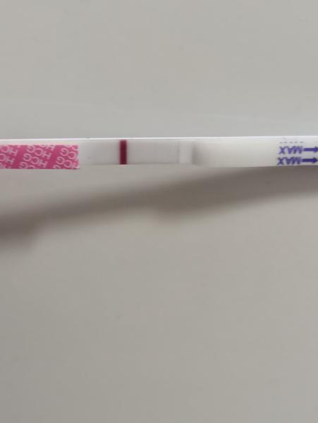 Zase tt. Přijde ještě MS, nebo se něco rýsuje?