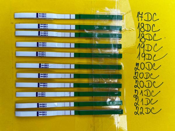 Clostilbegyt a utrogestan: Jak postupovat při nedostatečné ovulaci?