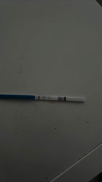 Co dělat při rozdílných výsledcích těhotenského testu?