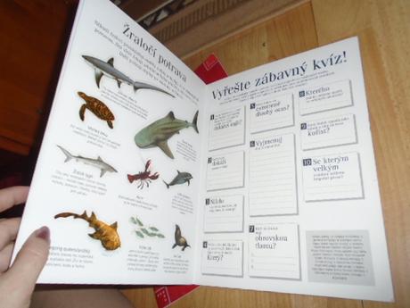 Křížovky dětské luštění žraloci samolepky 4ks, 