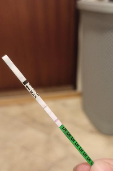 Jaká je šance na otěhotnění po nechráněném styku?