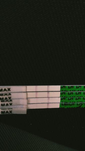 Ovulační testy, měření bazální teploty. Kdy to vypadá na ovulaci?