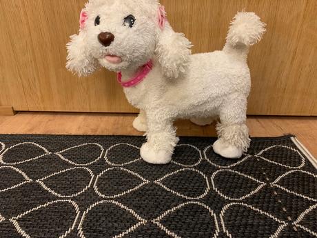 Sada plyšových domácich zvířátek,