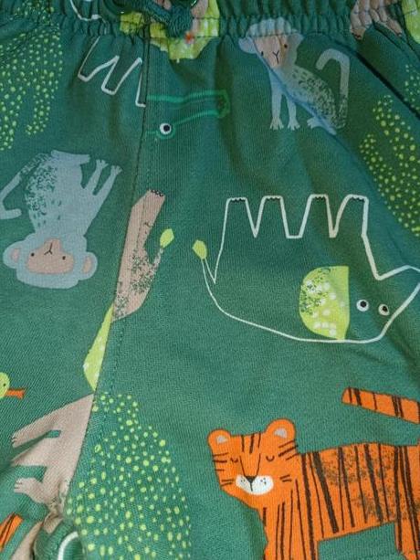 Zelené kraťase s dinosaury 98 nutmeg, nutmeg,98