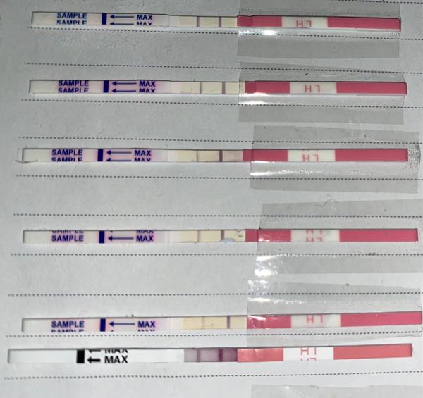 Je možné mít dvě ovulace?