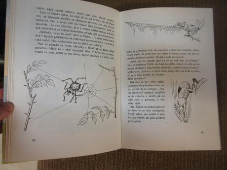 S500        kniha brouk pytlík  vydáno 1979, 