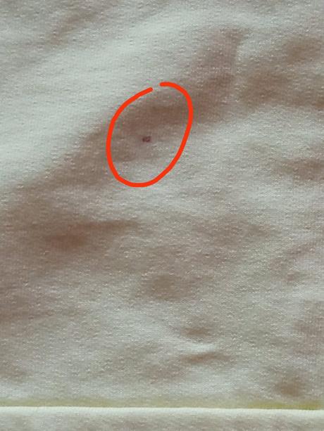 Crop tričko, coccodrillo,146