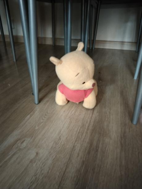 Lezoucí medvídek pú,