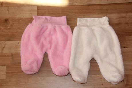 Chlupatkové polodupačky, 62