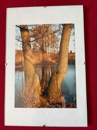 Rám na obrázek 20x30cm s fotografií stromu, 