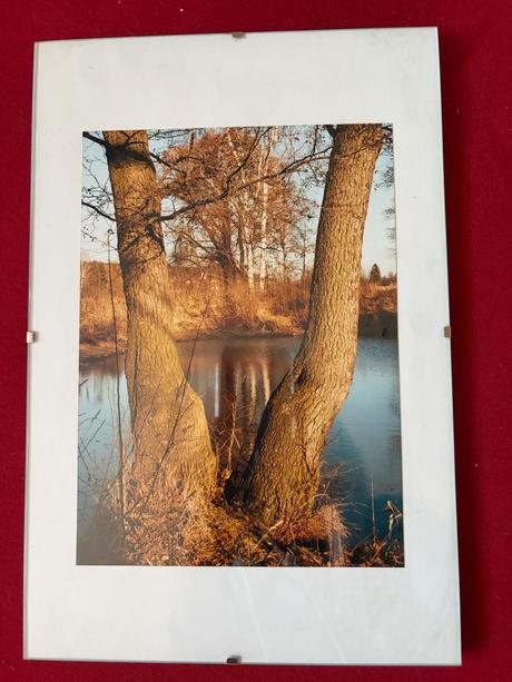 Rám na obrázek 20x30cm s fotografií stromu,