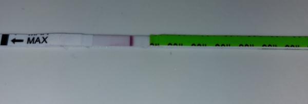 Kdy duch na těhotenském testu znamená pozitivní výsledek?