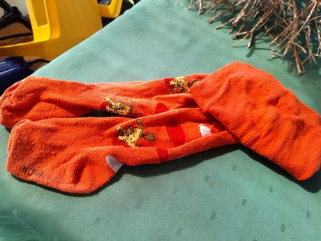 Punčocháče s pejskem,oranžové,vel 80, 80