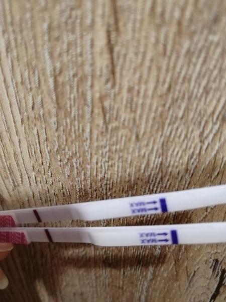 Těhu test. Bere se krev na hCG na lačno, nebo se můžu najíst?