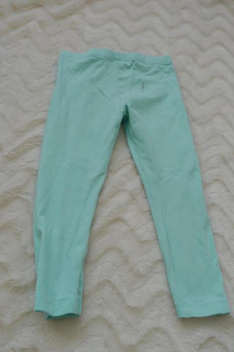 Zelenkave leginy, palomino,98