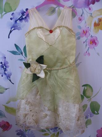 Karnevalové elegantní šaty-princezna tiana, 