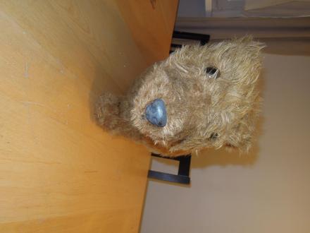 Plyšový medvěd,