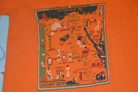 Oranžové tričko, cactus clone,98