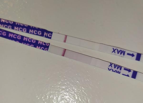 MS nikde. Duchařina?