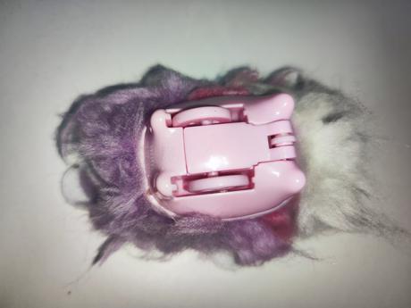 Jezdící chlupatá potvůrka, 