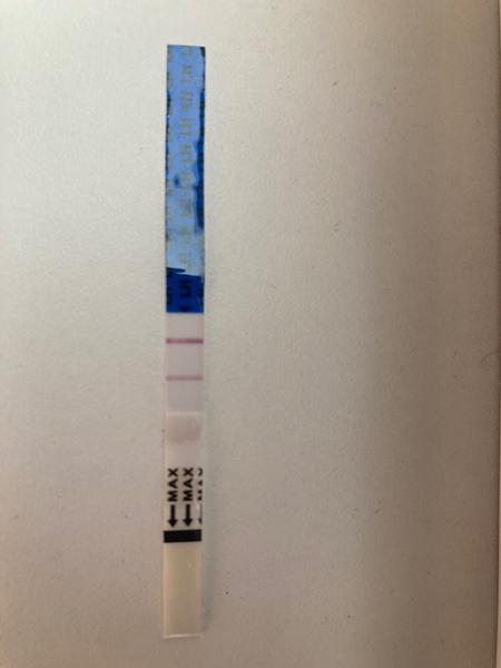 Jak správně interpretovat pozitivní ovulační test?