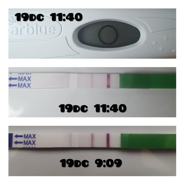 Ovulace, ovulační test a bazalka. Proběhla? Věřit digi testu než papírkovému?