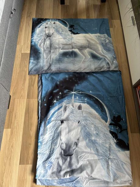 Povlečení s koněm, 