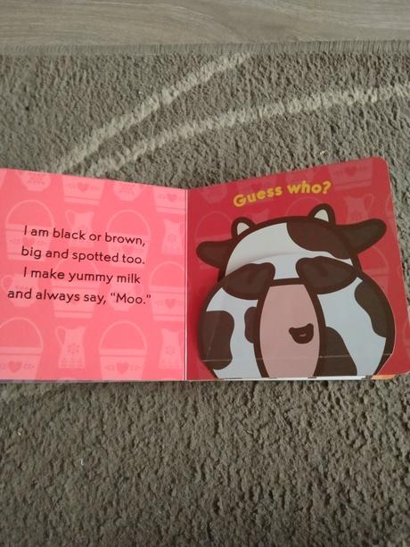 Leporelo s otviracími okénky, 