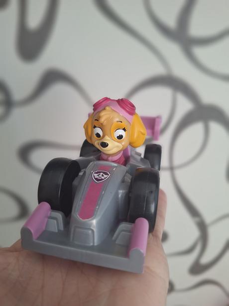 Tlapkova patrola - sky, 