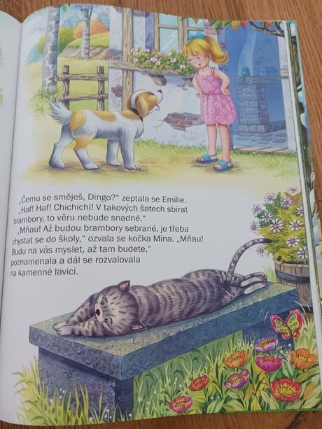 Kniha rok na statku., 