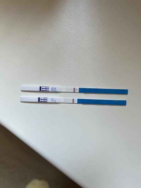 Testování Dr. Max 22. a 24. den: Má to smysl?