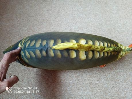 Polštář kapr lysec zn."gaby" vel."62cm+90cm",