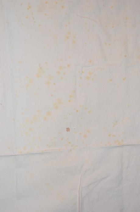 Kuchařská zástěra, 