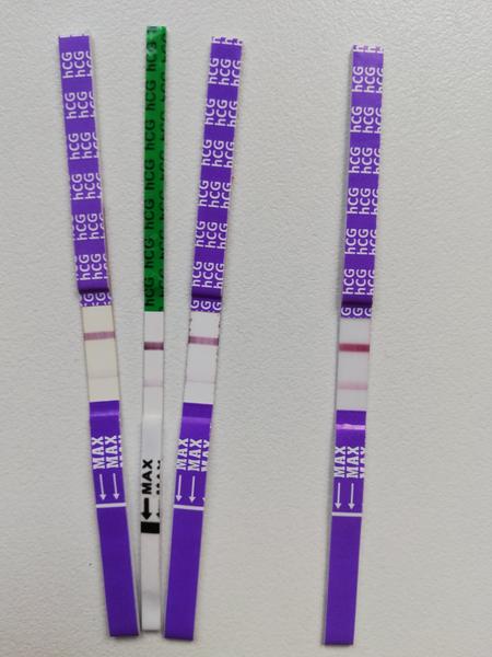 Cysta nebo těhotenství. Zkušenosti?