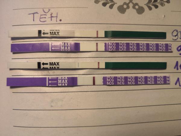 Kdy se Vám objevily poprvé // na TT?