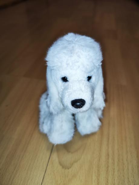 Plyšový bílý pes, 