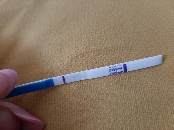 Bolest v podbřišku před menstruací. Je to normální?