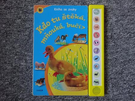 Kniha se zvuky, 