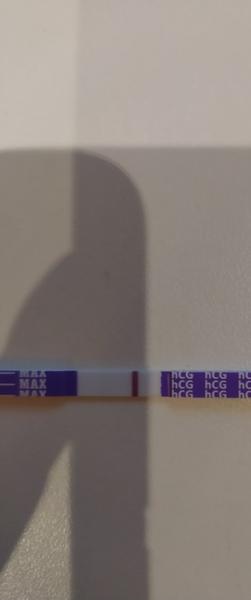 Může těhotenský test ukázat pozitivní výsledek brzy?