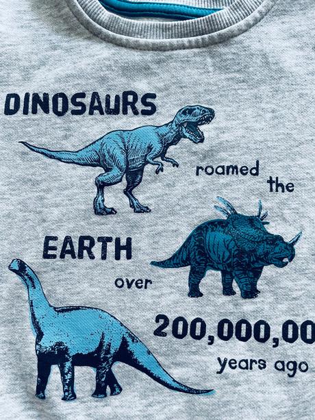 Mikina s dino - v.86, st. bernard,86