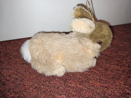 Světle hnědý zajíc, 