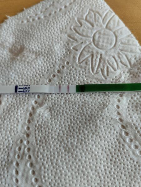 Kdy je ovulační test pozitivní? Zjistěte více!