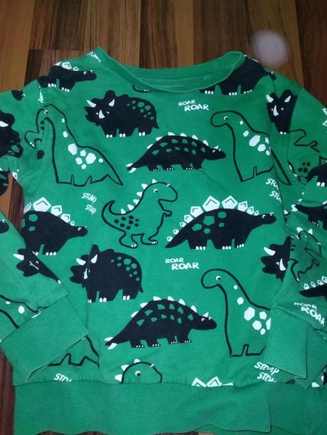 Zelená mikina s dinosaury 110 next, next,110
