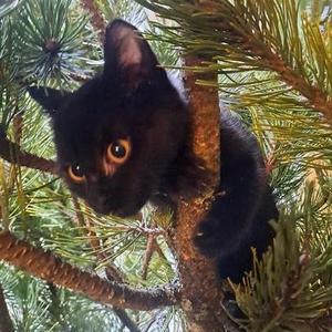 @jasekd: Nejhezčí ozdoba 🥰