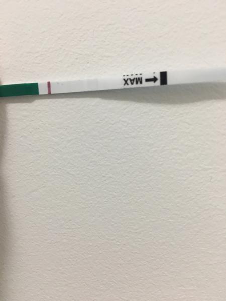 Vidí někdo ducha, nebo jsem blázen? Diskuse o duchovi.