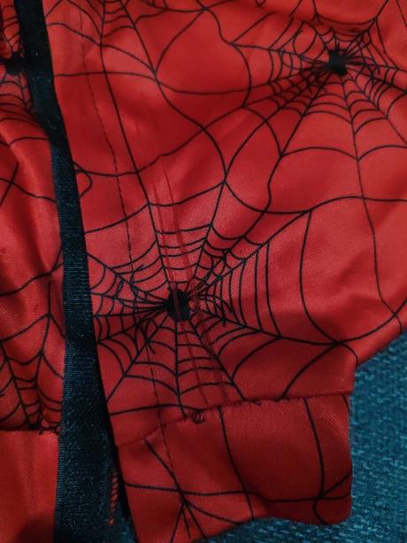 Halloween pavučina,