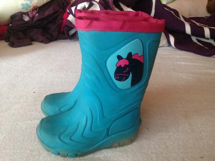 Dívčí gumáky - holínky kůň, koník, 22